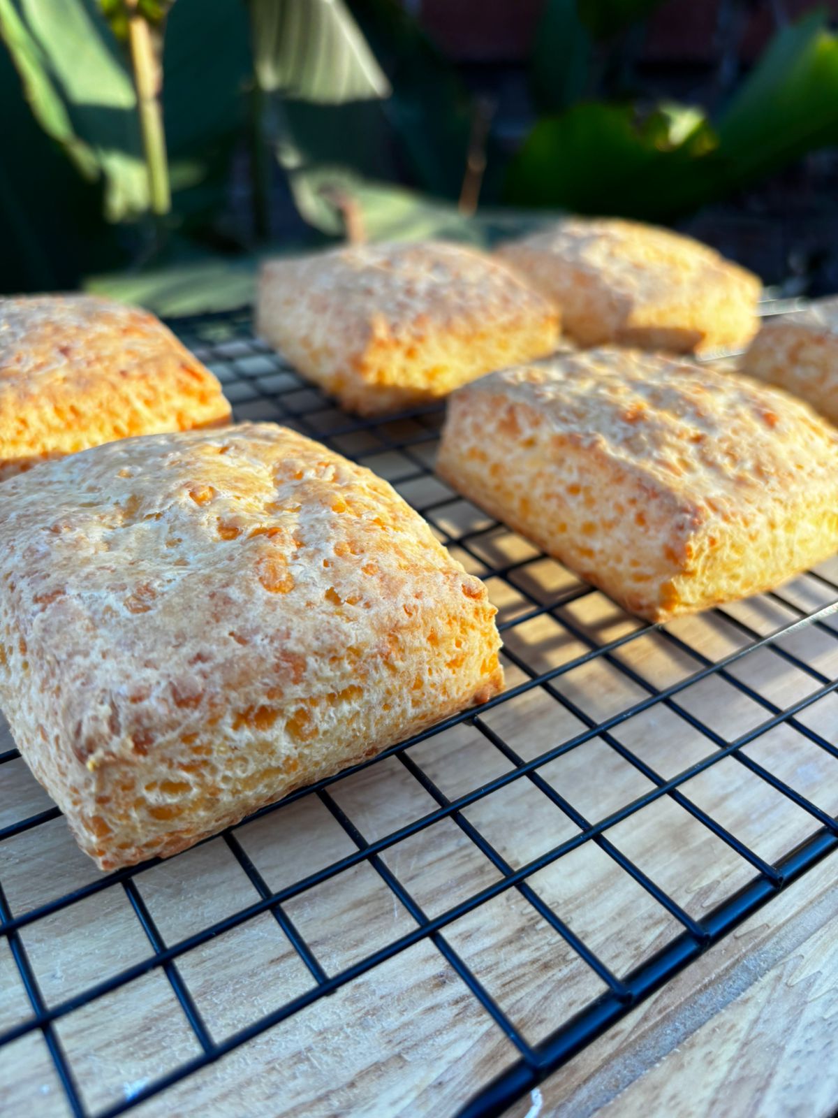 Scones x12